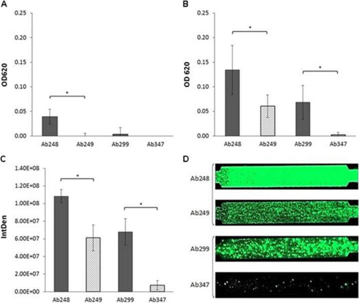 FIG 2