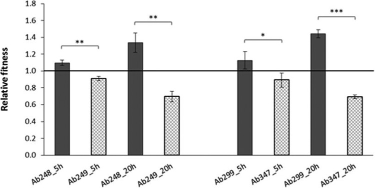 FIG 1