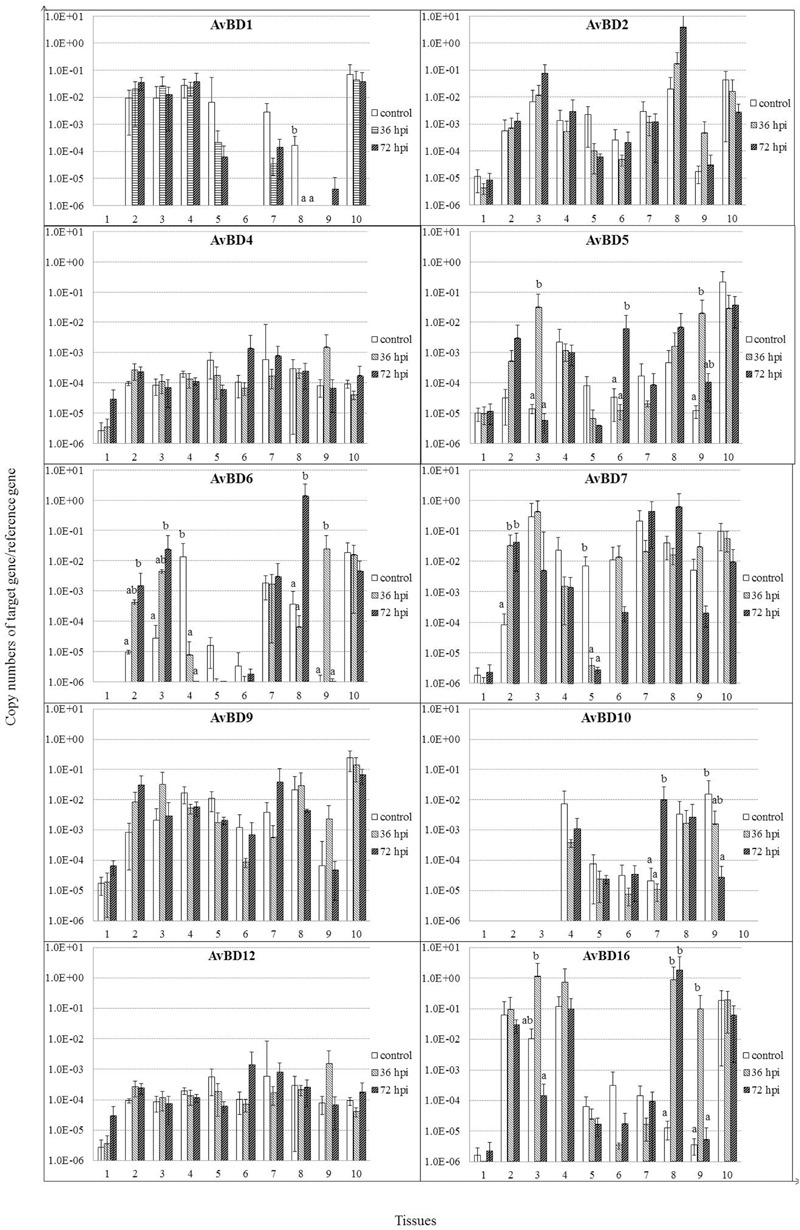 FIGURE 4