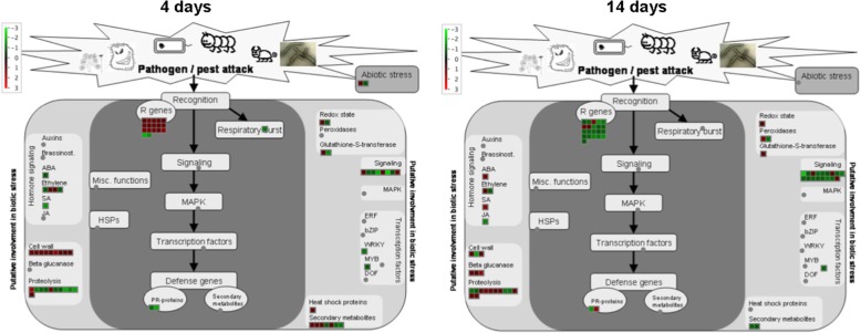 Fig. 8