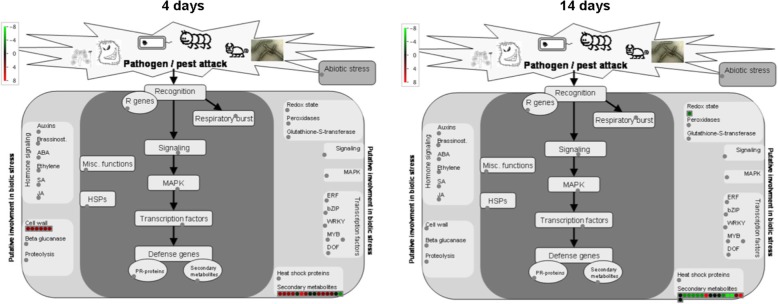 Fig. 6