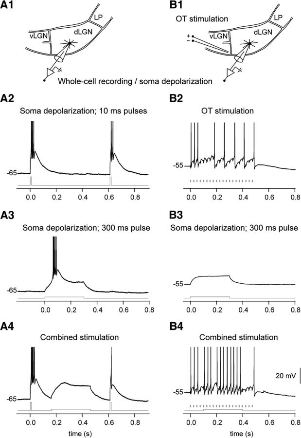 Figure 10.