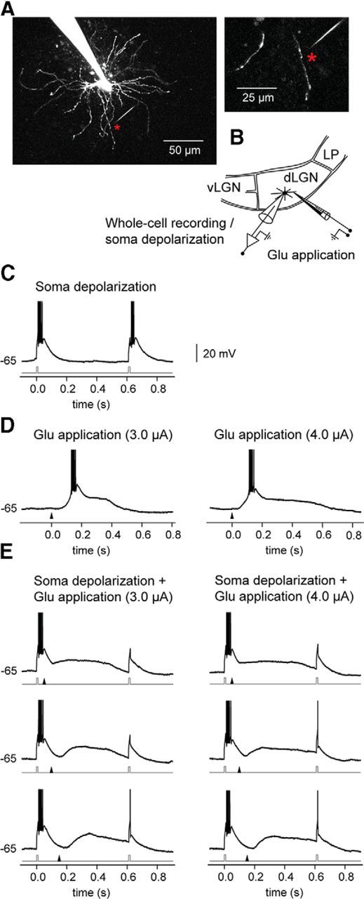 Figure 9.