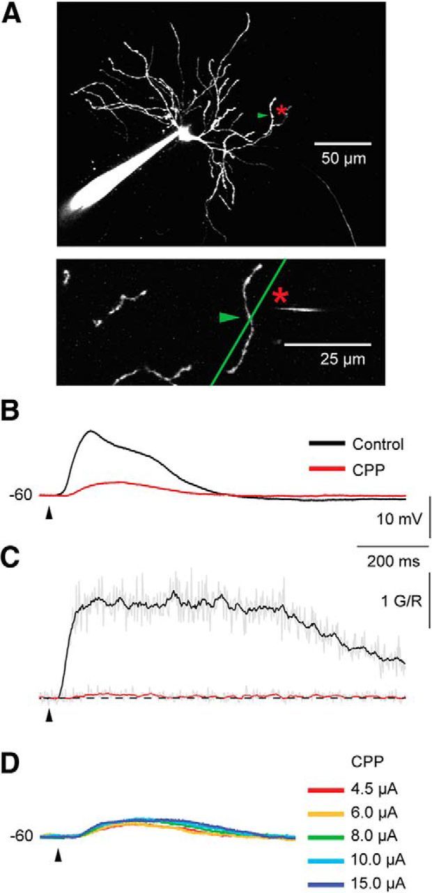 Figure 4.