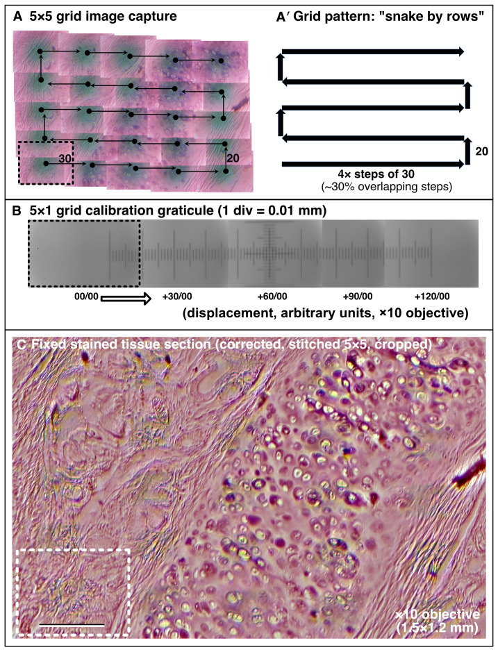 Figure 5. 