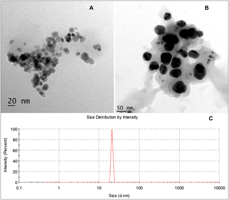 Figure 5