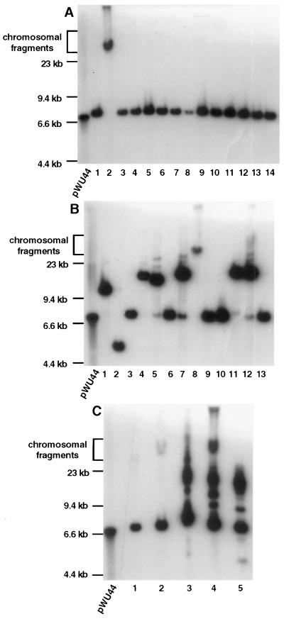 FIG. 3