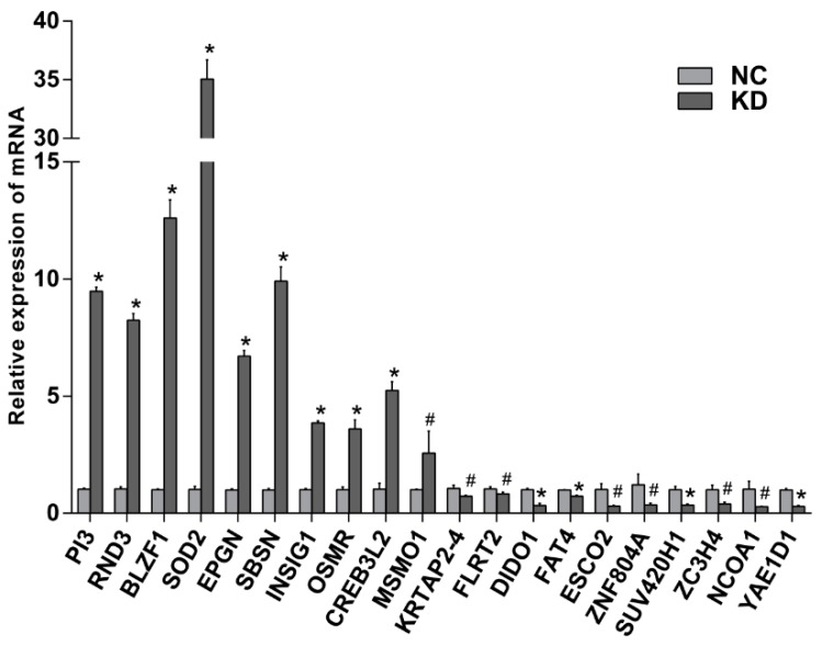 Figure 7