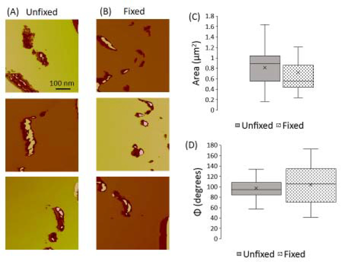 Figure 4: