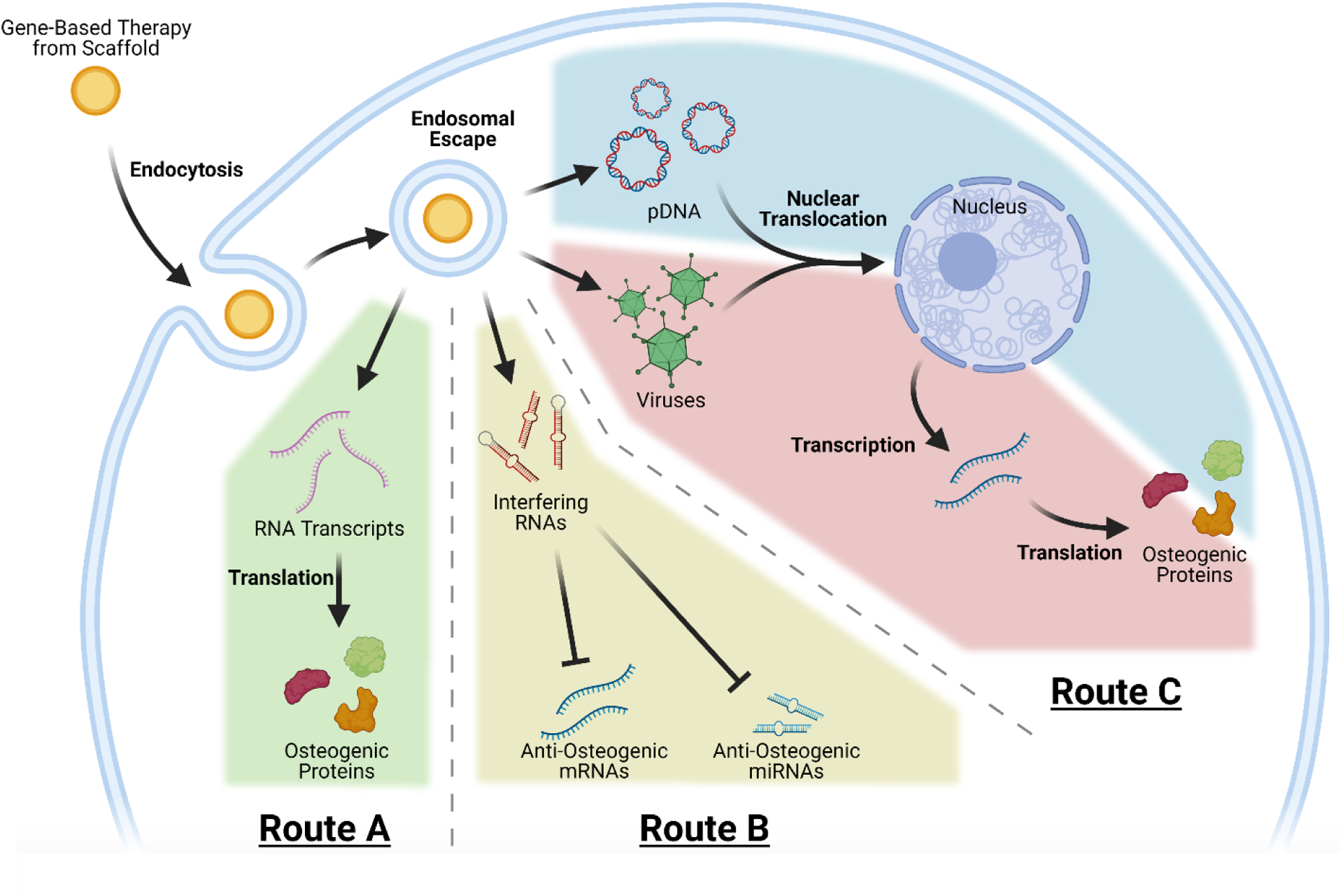 Figure 3: