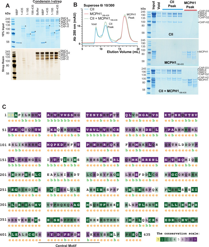 Figure 5—figure supplement 1.