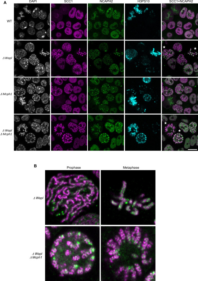 Figure 10.