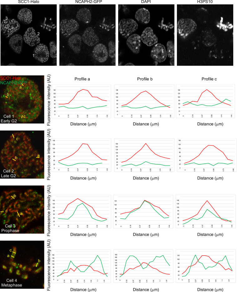 Figure 10—figure supplement 2.