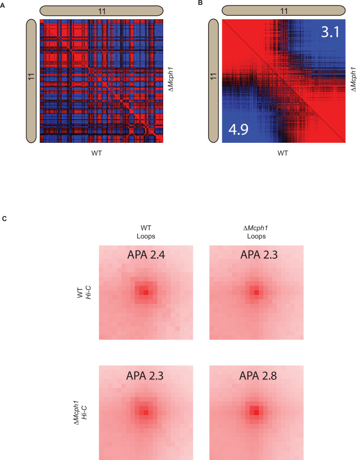 Figure 4—figure supplement 1.