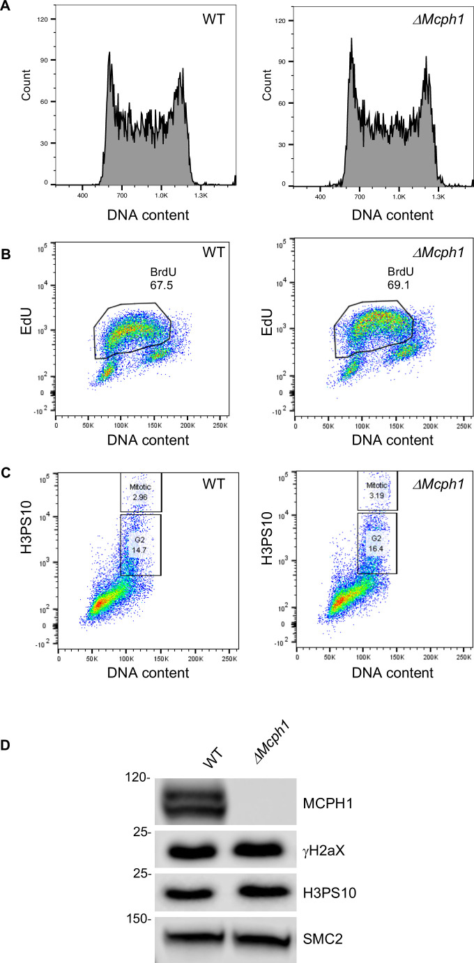 Figure 1—figure supplement 1.