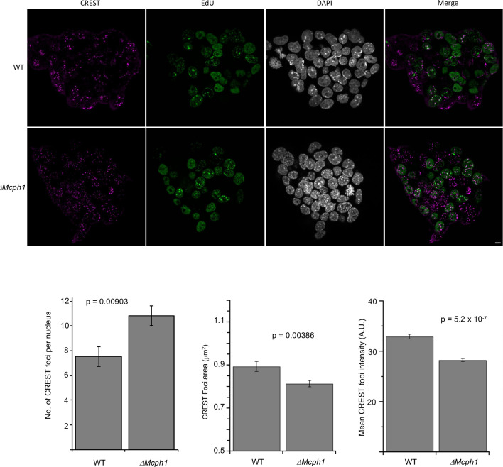 Figure 1—figure supplement 2.