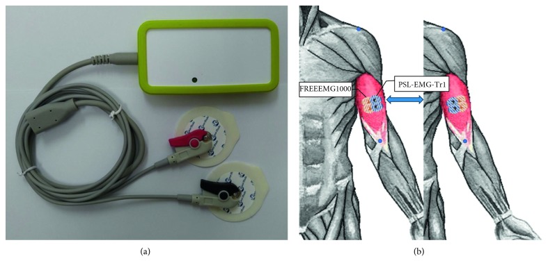 Figure 2