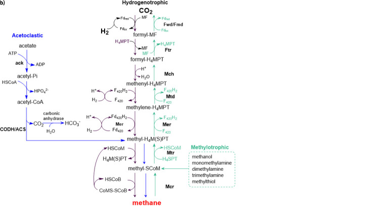 Fig. S1