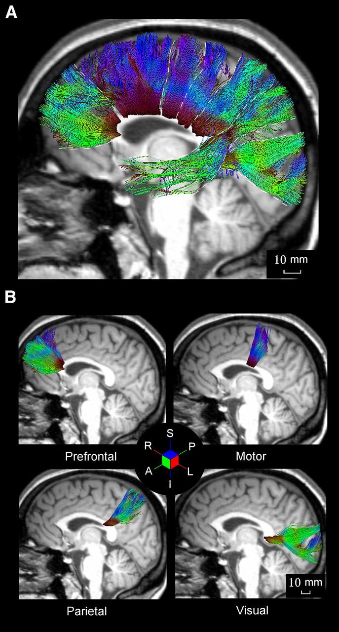 Figure 6.