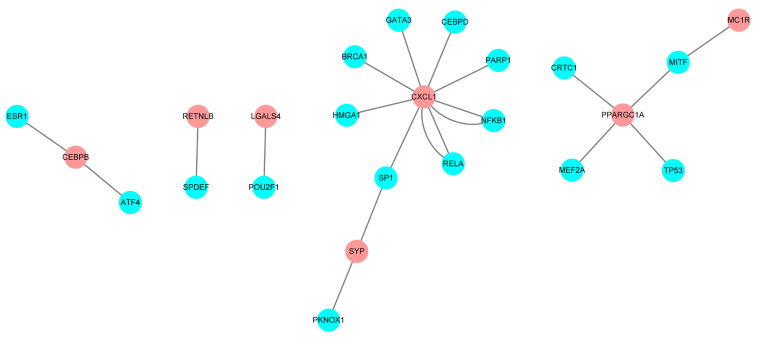 Figure 5