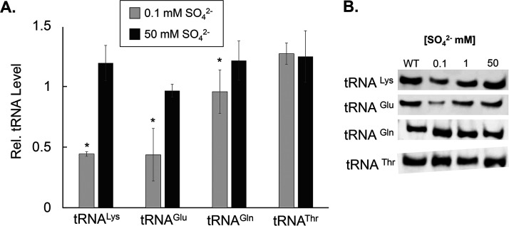 FIG 6