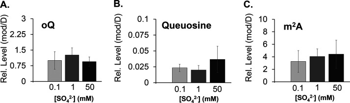 FIG 5