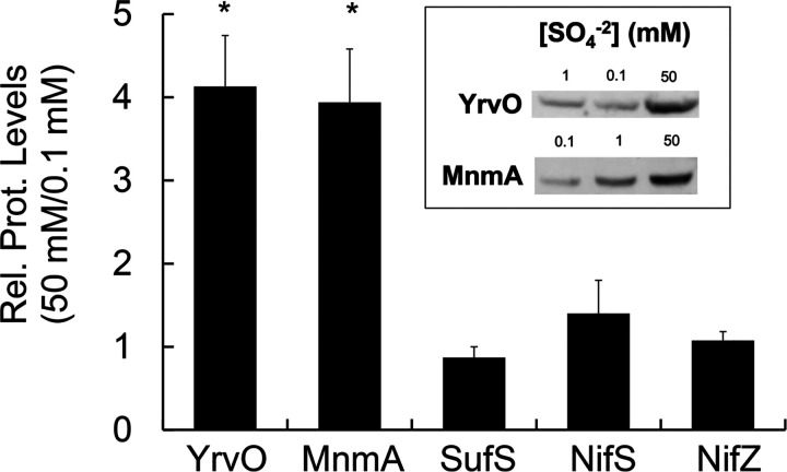 FIG 3