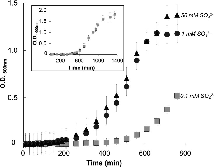 FIG 1