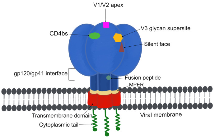 Figure 2 