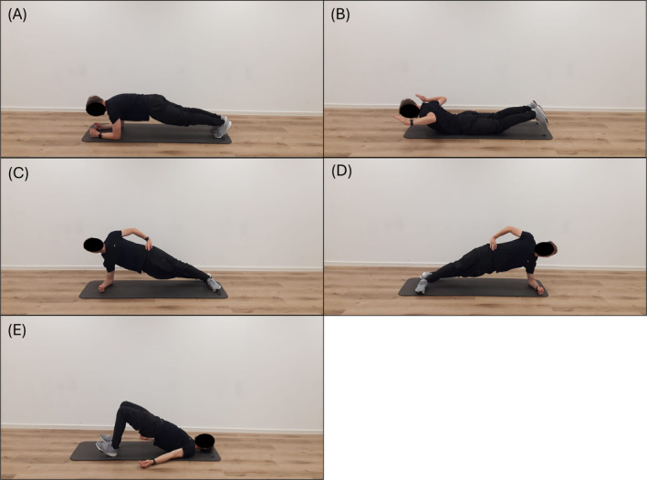 FIGURE 1