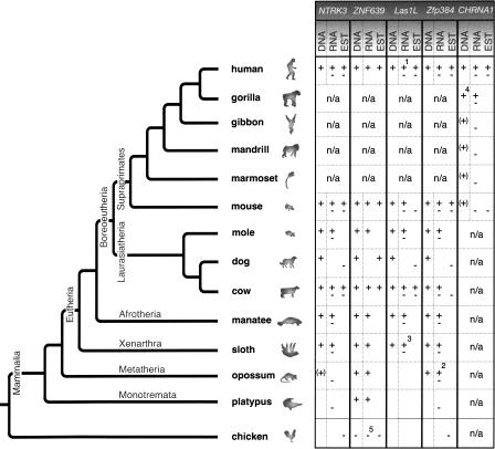 Figure 3.