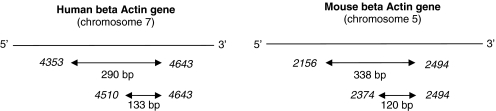 Figure 8.