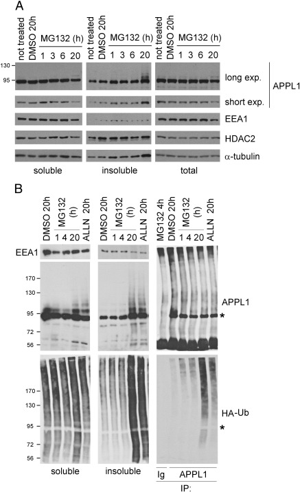 Fig. 6