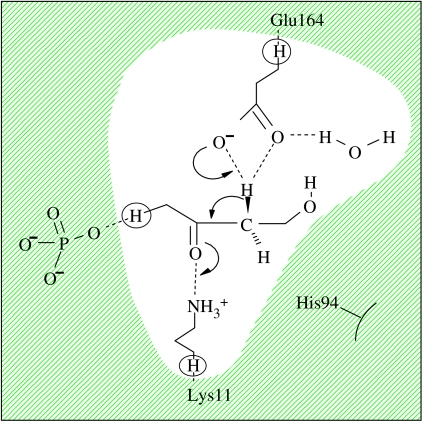 Figure 8