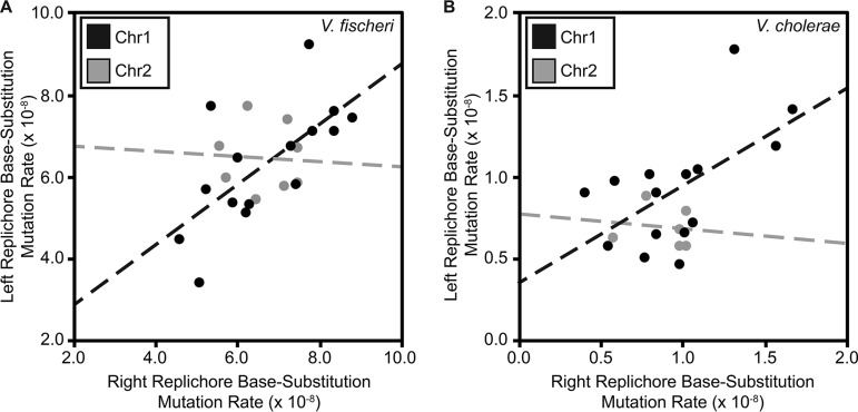 FIG 2 