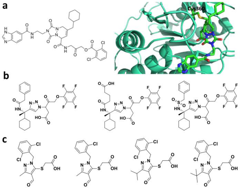 Figure 13.