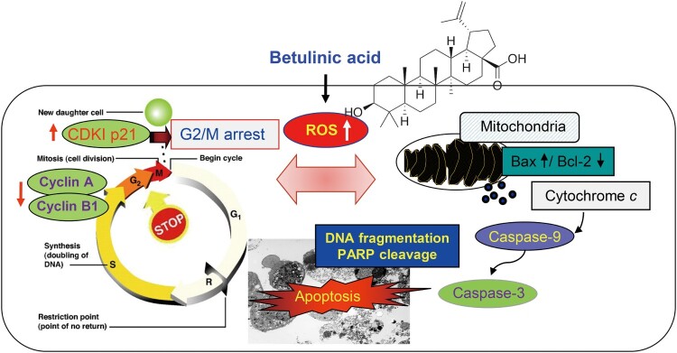 Figure 7.