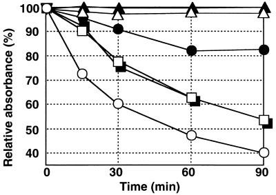 FIG. 7