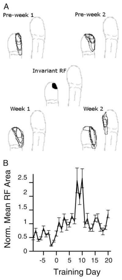 FIG. 3