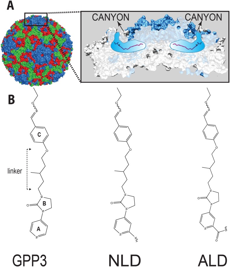 Fig 1