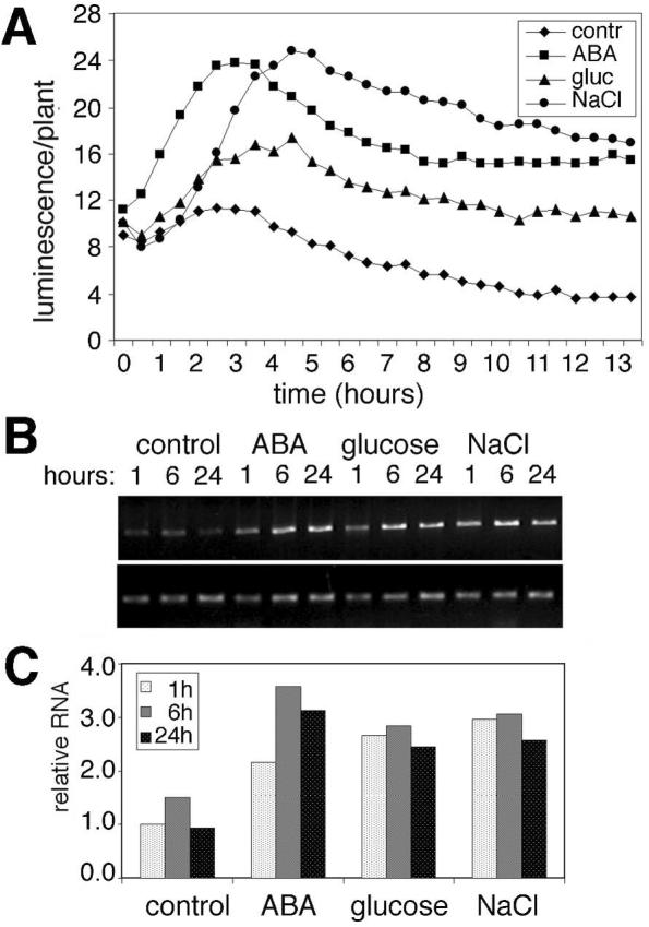 Figure 7.