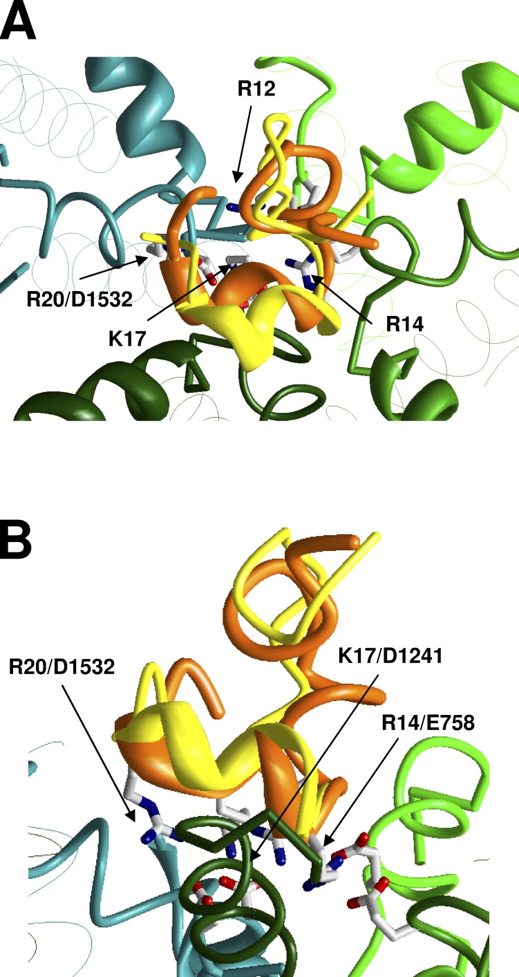 Figure 3.