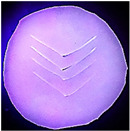 graphic file with name polymers-14-03048-i008.jpg