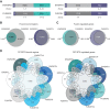 Figure 3. Comparison of FET/ETS fusions demonstrate similar biological function for both genomic localization and transcriptional-regulatory capacities. A, Protein schematic of 3F cDNA constructs, including EWS/ERG, FUS/ERG, EWS/FEV, and FUS/FEV. EWS is depicted in light grey, FUS in dark grey, ERG in teal, and FEV in indigo. Exons included in each fusion are noted. B, Venn-diagram overlap analysis of CUT&Tag genomic localization data for the corresponding fusion protein listed expressed in A673 knockdown/rescue cells (iEF + Construct), as compared with control cells (iEF + Empty Vector; N = 2 biological replicates). Number of bound regions for each construct depicted in figure. Significance of overlap: P < 2.2 × 10–16. C, Venn-diagram overlap analysis of RNA-seq expression data for genes called as significantly regulated by the corresponding construct expressed in A673 knockdown/rescue cells, as compared with control cells (iEF + Empty Vector; N = 2 biological replicates). Number of significantly regulated genes by each fusion listed in figure. Significance of overlap: P < 2.2 × 10–16. D, Venn-diagram overlap analysis of CUT&Tag genomic localization–binding data of FET/ETS fusions in A673 knockdown/rescue cells (N = 2 biological replicates, left). All DNA-bound regions are called as significant for the corresponding fusion as compared with control cells (iEF + Empty Vector). Significance of overlap: P < 2.2 × 10–16. Venn-diagram analysis of significantly regulated genes by corresponding FET/ETS fusion, as compared with control cells (iEF + Empty Vector), determined using RNA-seq (N = 2 biological replicates, right). Significance of overlap: P < 2.2 × 10–16.