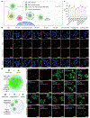 Fig. 7 |