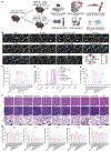 Fig. 8 |