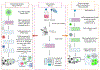 Fig. 4 |