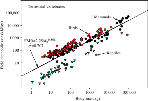 Figure 39