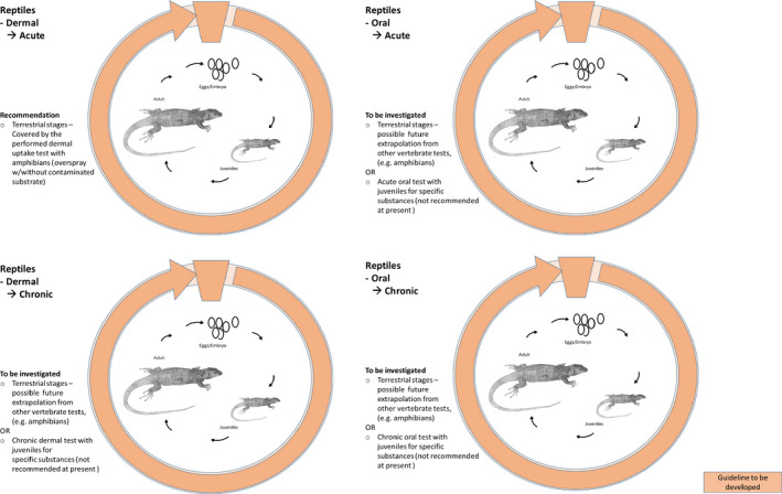 Figure 24