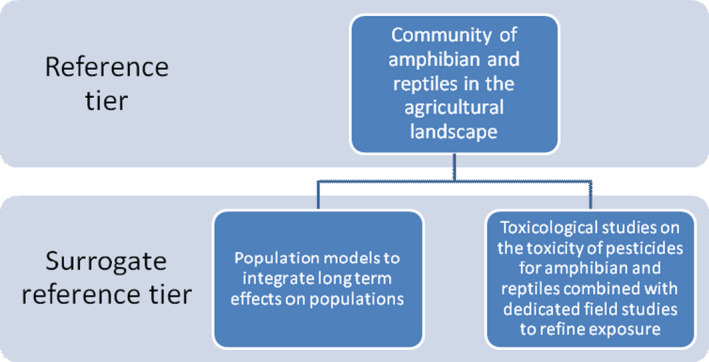 Figure 19